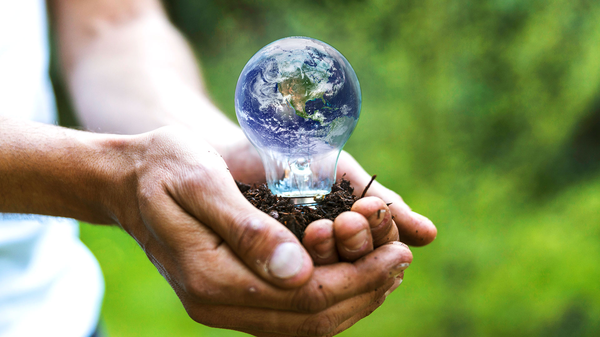 Consultoría para la certificación ISO 14001